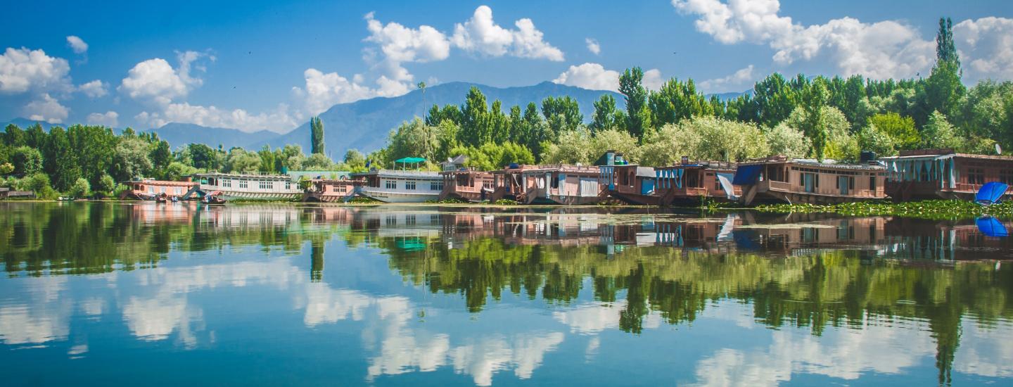 Srinagar's Natural Elegance