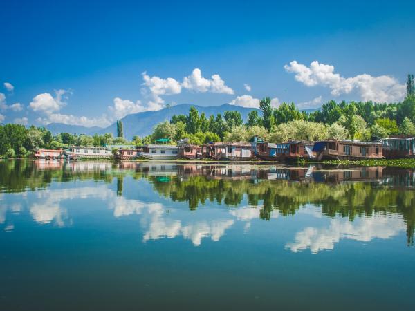 Srinagar's Natural Elegance